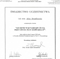 Powiększ obraz: certificate 47