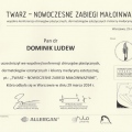 Powiększ obraz: certificate 29