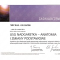 Powiększ obraz: certificate 7