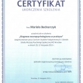 Powiększ obraz: certificate 1