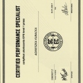 Powiększ obraz: certificate 2