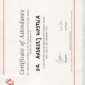 Powiększ obraz: certificate 4