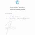 Powiększ obraz: certificate 11