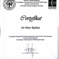 Powiększ obraz: certificate 20
