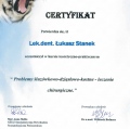 Powiększ obraz: certificate 13