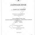Powiększ obraz: certificate 28