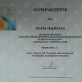 Powiększ obraz: certificate 5