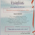 Powiększ obraz: certificate 3