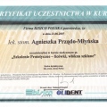 Powiększ obraz: certificate 11