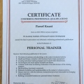 Powiększ obraz: certificate 20