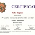 Powiększ obraz: certificate 13