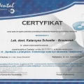 Powiększ obraz: certificate 19