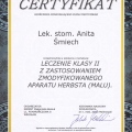 Powiększ obraz: certificate 22