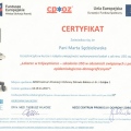Powiększ obraz: certificate 10