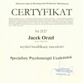 Powiększ obraz: certificate 2