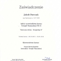 Powiększ obraz: certificate 29
