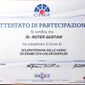 Powiększ obraz: certificate 7