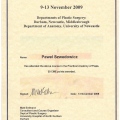 Powiększ obraz: certificate 11