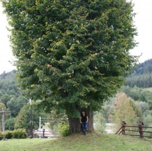 Powiększ obraz: Aleksandra Barabasz-Gembczyk, psychiatra Katowice