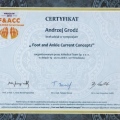 Powiększ obraz: certificate 8