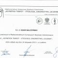 Powiększ obraz: certificate 10