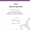 Powiększ obraz: certificate 11