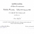 Powiększ obraz: certificate 2