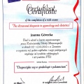 Powiększ obraz: certificate 3