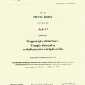 Powiększ obraz: certificate 6