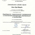 Powiększ obraz: certificate 10