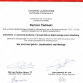 Powiększ obraz: certificate 6