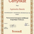 Powiększ obraz: certificate 24