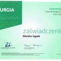 Powiększ obraz: certificate 2