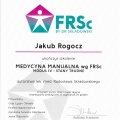 Powiększ obraz: certificate 2