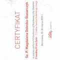 Powiększ obraz: certificate 7