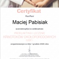 Powiększ obraz: certificate 9