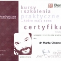 Powiększ obraz: certificate 3