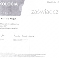 Powiększ obraz: certificate 22
