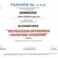 Powiększ obraz: certificate 12
