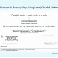 Powiększ obraz: certificate 21