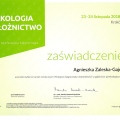 Powiększ obraz: certificate 12