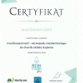 Powiększ obraz: certificate 42