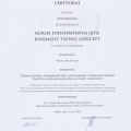 Powiększ obraz: certificate 28