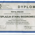Powiększ obraz: certificate 12