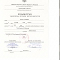 Powiększ obraz: certificate 4