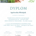 Powiększ obraz: certificate 2