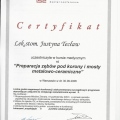 Powiększ obraz: certificate 6