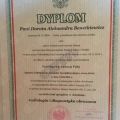 Powiększ obraz: certificate 2
