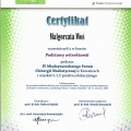 Powiększ obraz: certificate 1