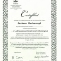 Powiększ obraz: certificate 3
